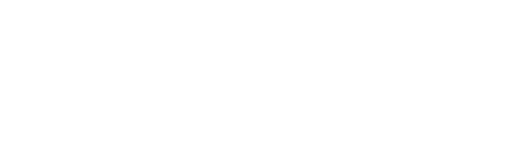 White logo "Wildfire Studio"